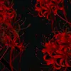 fantazie_artstyle