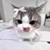 nis_w.nisa7