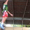 tophorse69