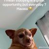 maphathwayo8