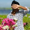 tashik119