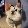 skibidi123727