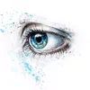 iris29477