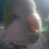 alex.catari2