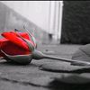 armennn45