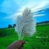 md.rajib529