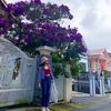huyen.pham964