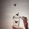heba.ahmed5064
