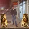silviu.leescu