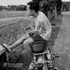 novanwajiansyah