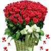 arzu.ferecova0