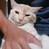 yohanes1234450