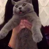 lucieluciedababy