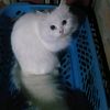 m_hijrah_