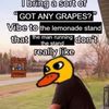 grapey_duck