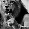alaoui_243