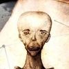 cleanskele