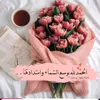 user523144212796