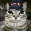 sigmamaxverstappen133