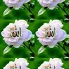 user3450216620360