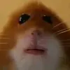 hukingovn