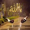 ..khalid46