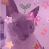 uwu.xxcokeeyxx