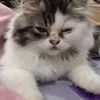 faridawati_yaa