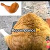 soy_ssj_bs