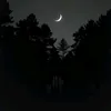 n1ghtsh1n3117_
