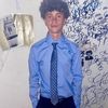 14kbirdd