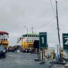 lipoo222