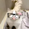 joanmndz2