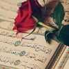 user9726762722862