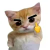 muoicachua5