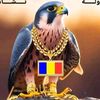 user6352663096601