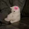 riimaa._.tu