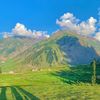 hammad_1727