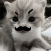 chatchaya.athikir