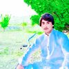 user52616615279403
