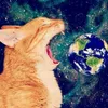 maktpaxep3