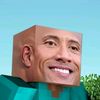 elon.musk305