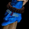 eswaran_nair23