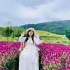 an.nhin9264
