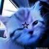 ratnaa_370