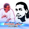 Seedomo_سيدامو