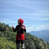 atrh.nrll