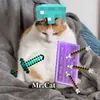 mr.cat_hh