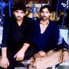 faraz.ali3799
