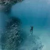 jffyumix2o8